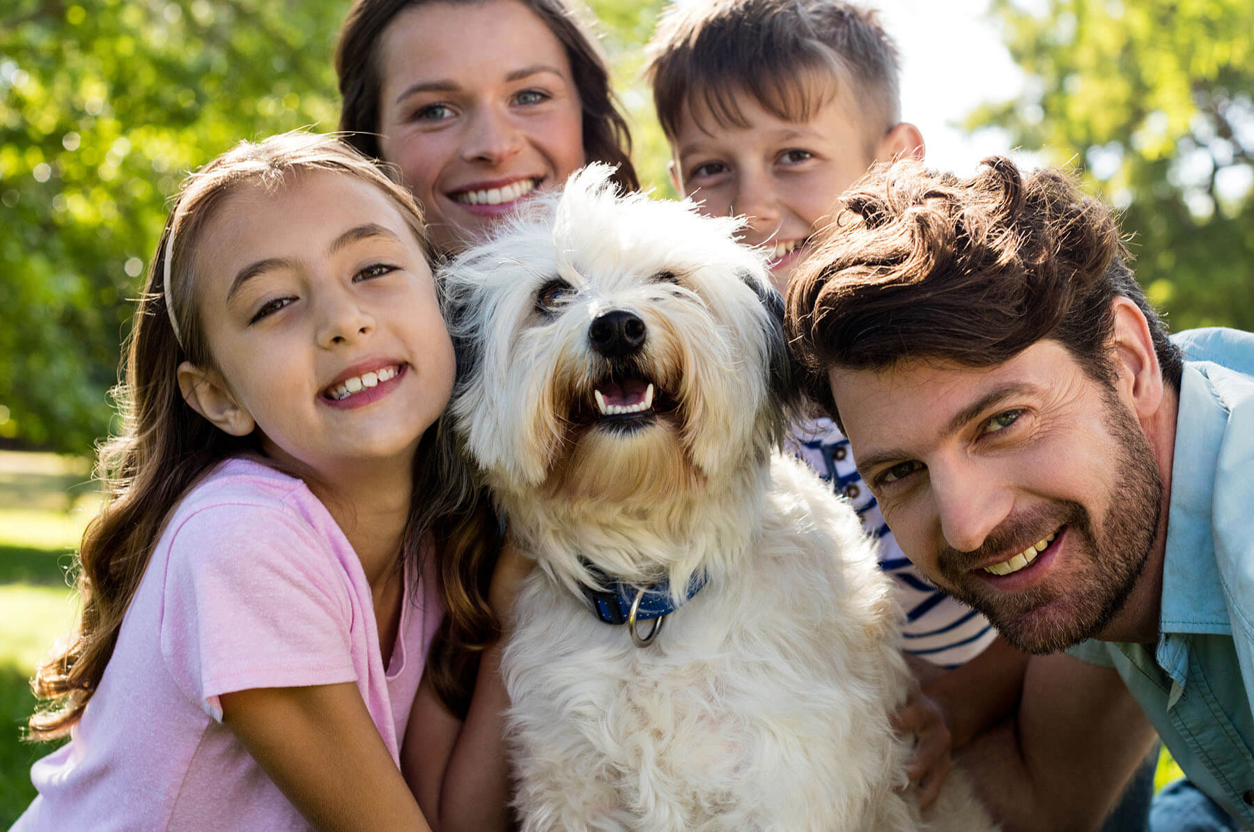 Benefits of taking your dog to obedience training